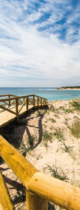 Playas Cádiz Alqyon